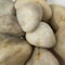 Msi White Polished Pebbles 0.5 cu. Ft . per Bag 1 in. to 2 in. Bagged Landscape Rock, 55PK ZOR-LSC-0182P - alternate 1